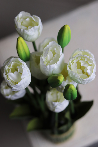 Tulipany Springtime, wiosenna dekoracja, biała