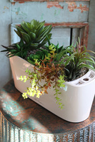 Lechuza Simple, minimalistyczna kompozycja z sukulentów w eleganckiej donicy, wym.28x40cm 