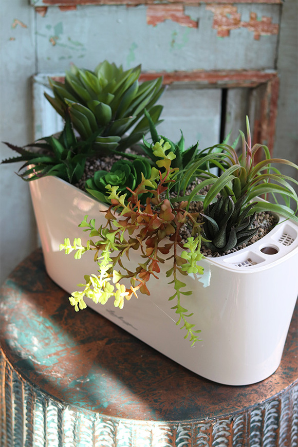 Lechuza Simple, minimalistyczna kompozycja z sukulentów w eleganckiej donicy, wym.28x40cm 