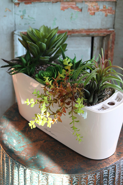 Lechuza Simple, minimalistyczna kompozycja z sukulentów w eleganckiej donicy, wym.28x40cm