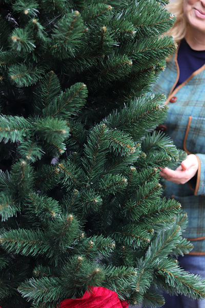 Velvet Bow, świąteczna choinka w donicy