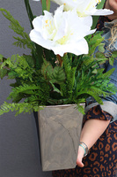 Amarylissia Silver, dekoracja kwiatowa z amarylisem, wys.60cm 