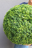 kula bukszpanowa / sztuczny bukszpan, śr.50cm 