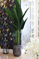 Bananowiec Giant, sztuczna roślina w doniczce