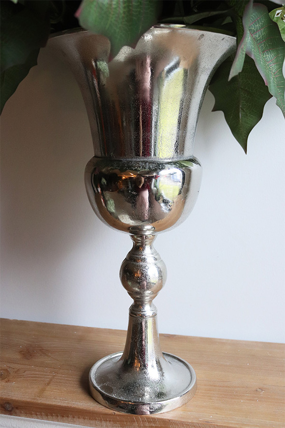 Gwiazda Betlejemska Pucharia, kompozycja świąteczna