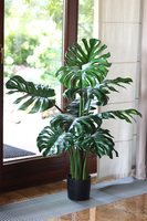 Monstera, sztuczne drzewko w doniczce