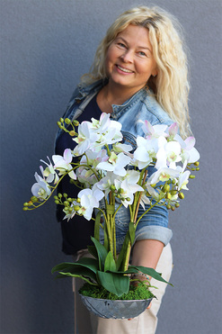 Greya Berlicot, elegancki storczyk w lustrzanej misie, wys.43cm