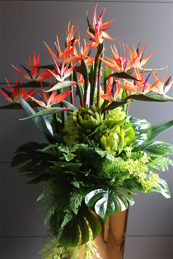 egzotyczna kompozycja, Strelicja Manhattan