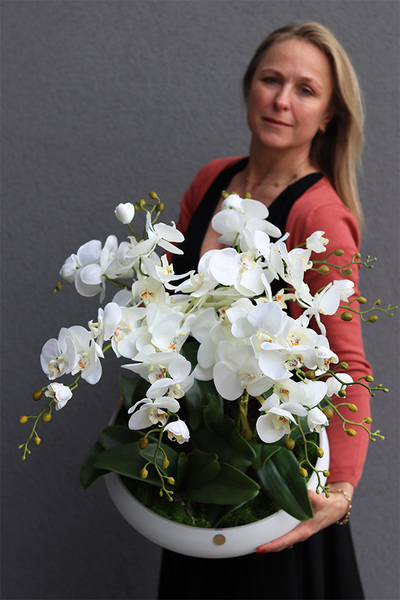 Cecile White Big, efektowny storczyk w szklanej misie