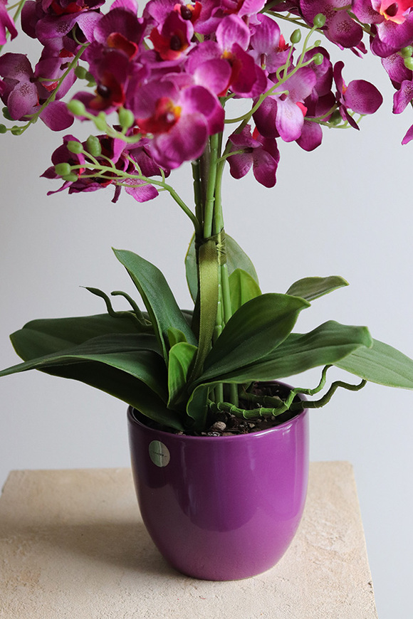 Fuksjowa Bajka, sztuczny storczyk w naczyniu