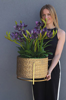  Goldenario Harlow 3, gumowy storczyk w złotej donicy