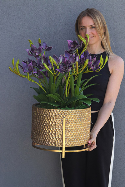  Goldenario Harlow 3, gumowy storczyk w złotej donicy