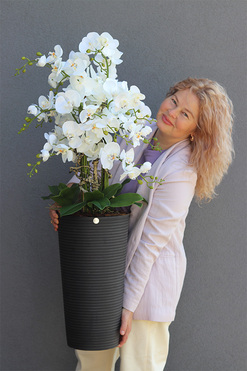 OD RĘKI Genova Black, sztuczny storczyk w wysokiej donicy, wys.110cm