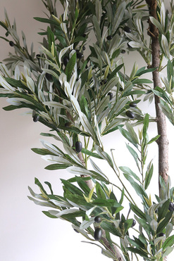 Oliwka Bahama, sztuczne drzewko w koszu, wym.210cm