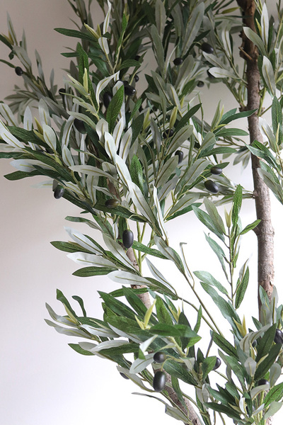 Oliwka Bahama, sztuczne drzewko w doniczce