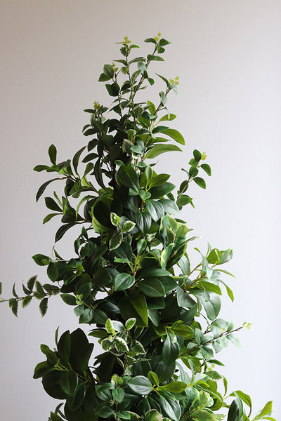 New Green GoldLine, drzewko sztuczne kolumnowe w donicy