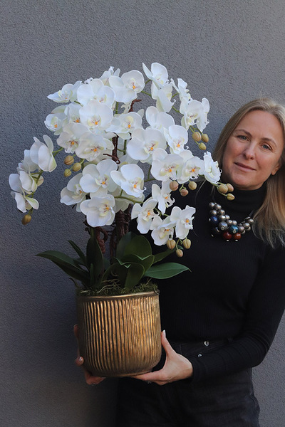 Antique Modern, elegancki storczyk w złotej osłonce