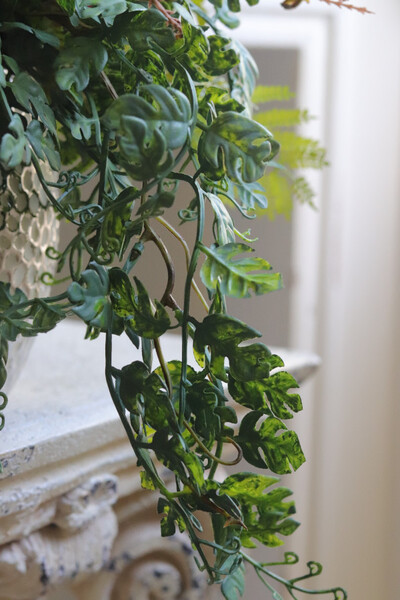 Bizett, sukulenty w ozdobnej donicy