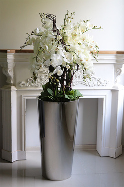 Silverio 2 Mirror, elegancki storczyk podłogowy w srebrnej donicy, wys.144cm