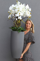 Fiberglass Grande Gray, storczyk w szarej donicy