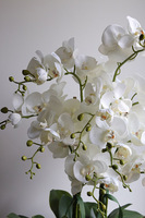 Rattania Cottage, sztuczny storczyk w wiklinowym koszu