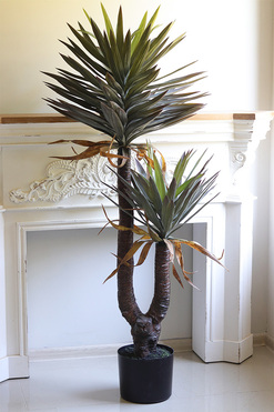 Jukka Florida 2, sztuczna roślina drzewko, wys.156cm 