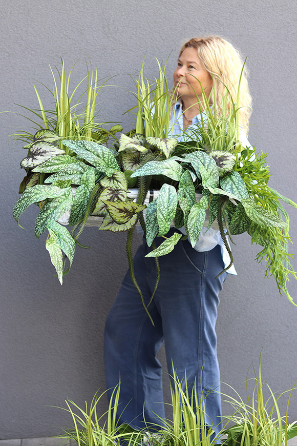 Morena Green Saute, zielona dekoracja do twojej donicy