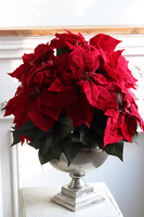 Gwiazda Betlejemska Deluxe Silver, sztuczna roślina w donicy