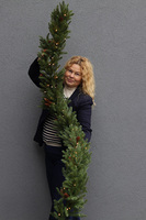 Green Evening, realistyczna iglasta girlanda zimowa