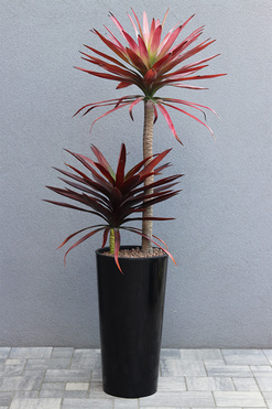 OD RĘKI Jukka Mediolan, sztuczna roślina w szarej donicy, wys.152cm