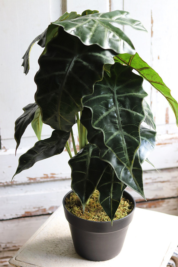 Filodendron, sztuczna roślina doniczkowa, wys.62cm