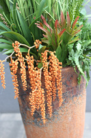 Brefera Design, wysokiej jakości sztuczna trawa w donicy