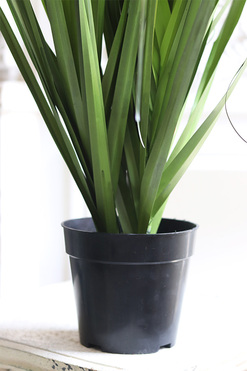 Avanti, sztuczna trawa, wys.79cm