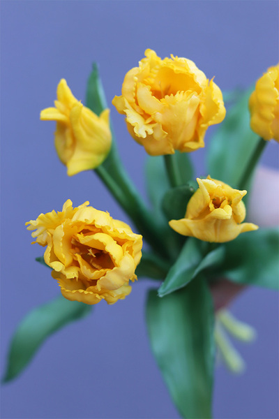 Novelty Yellow, bukiet gumowych tulipanów