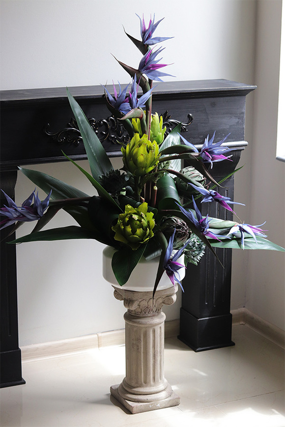 Niebieska Strelicja, egzotyczna kompozycja w donicy