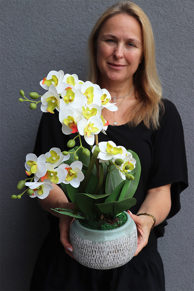 Nereta, gumowy storczyk w donicy etno