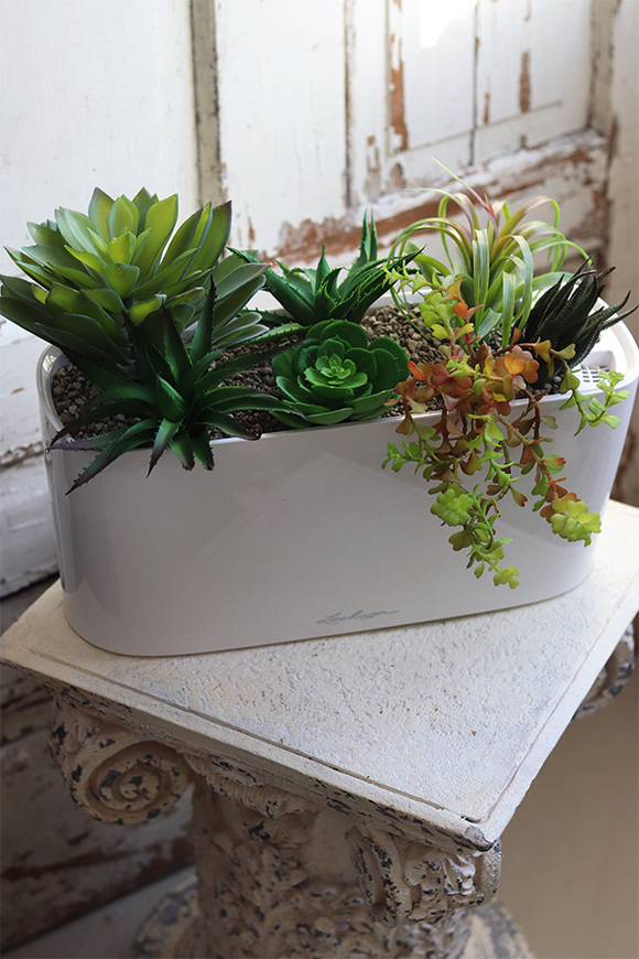 Lechuza Simple, minimalistyczna kompozycja z sukulentów w eleganckiej donicy, wym.28x40cm