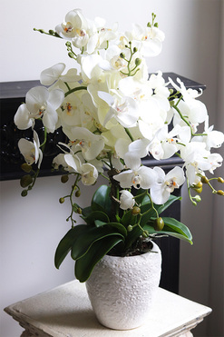 Belia White, biały sztuczny storczyk w białej donicy, wys.70cm