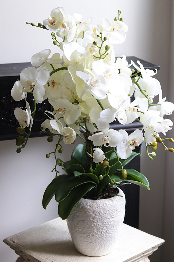 Belia White, biały sztuczny storczyk w białej donicy