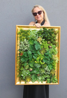 Sukulenty Green Decore, jednostronna rama