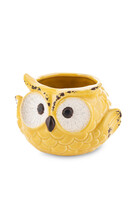 Cottage Owl, osłonka na kwiaty, żółta