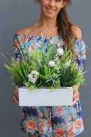 Jedyta, kompozycja z sukulentami w donicy glamour