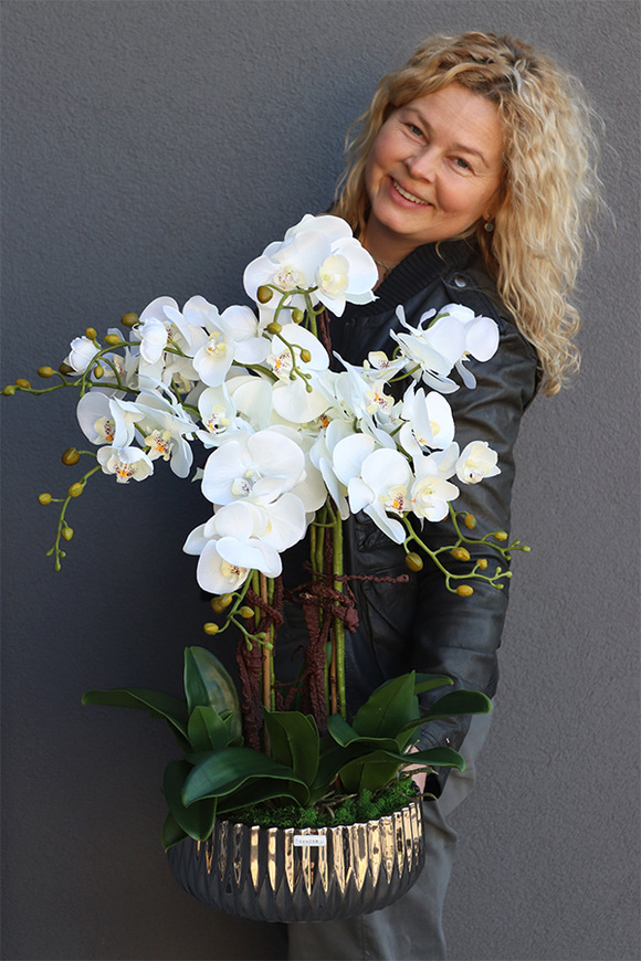 Befrao Silver, biały storczyk w srebrnej misie