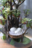 Meria, kompozycja kwiatowa pod kloszem