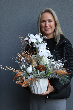 Amarylis Landia, zimowa kompozycja w osłonce, wys.50cm 