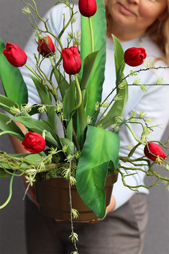 Tulipaneo Red, wiosenna dekoracja nagrobna z tulipanami, wym.57x70cm