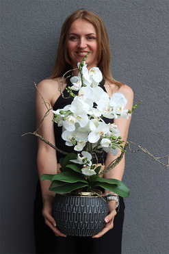 Orchid Ferana, sztuczny storczyk w szarej osłonce, wys.64cm  