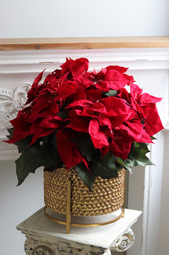 Gwiazda Betlejemska Złota Decoratoria, sztuczna roślina w donicy, wys.60cm 