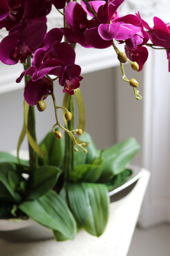 Laos Fuksja Tallia, sztuczny storczyk w lustrzanej donicy, wys.67cm