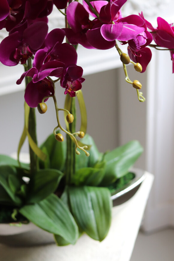 Laos Fuksja Tallia, sztuczny storczyk w lustrzanej donicy